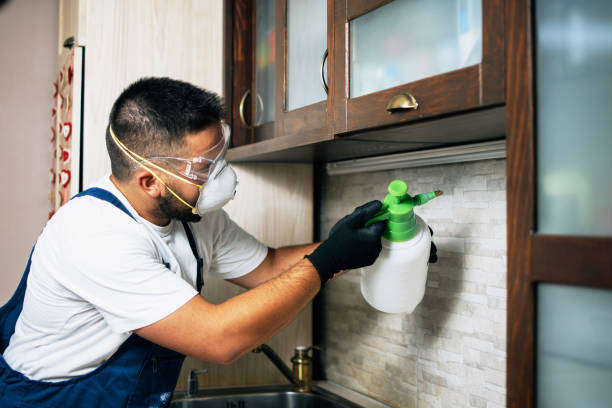 Best Exterminator Services  in Summerde, AL