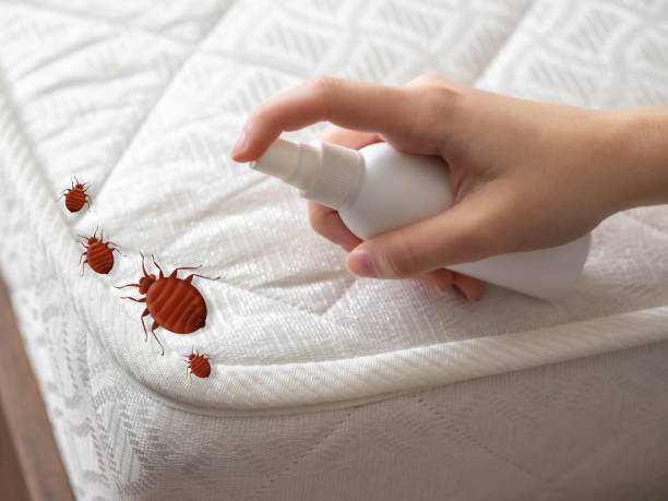 Best Exterminator Services  in Summerde, AL